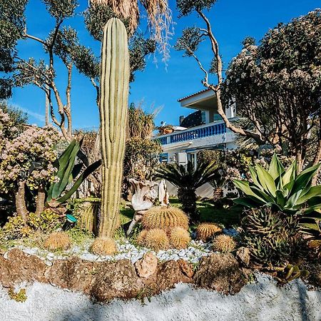 Appartamenti Ischia Casa Don Peppe Forio  ภายนอก รูปภาพ
