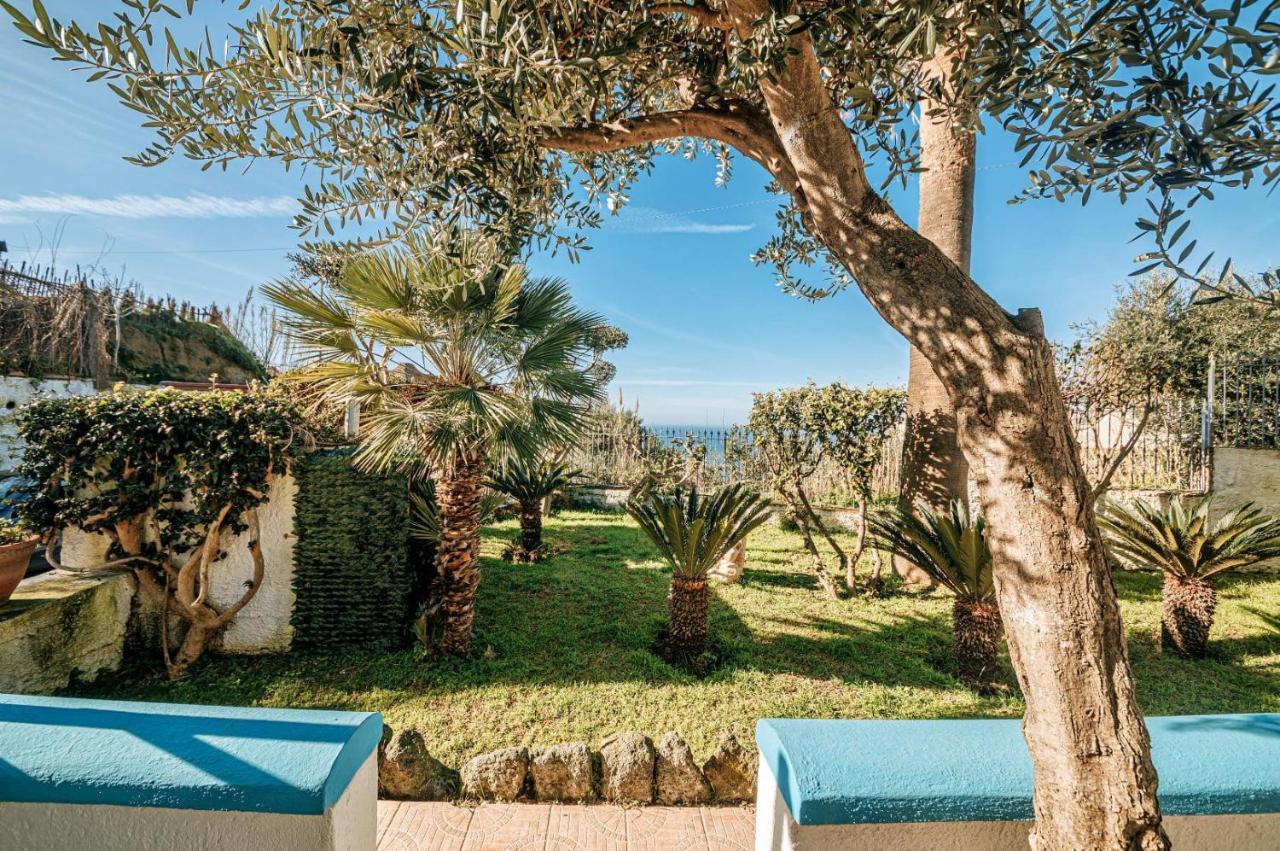 Appartamenti Ischia Casa Don Peppe Forio  ภายนอก รูปภาพ