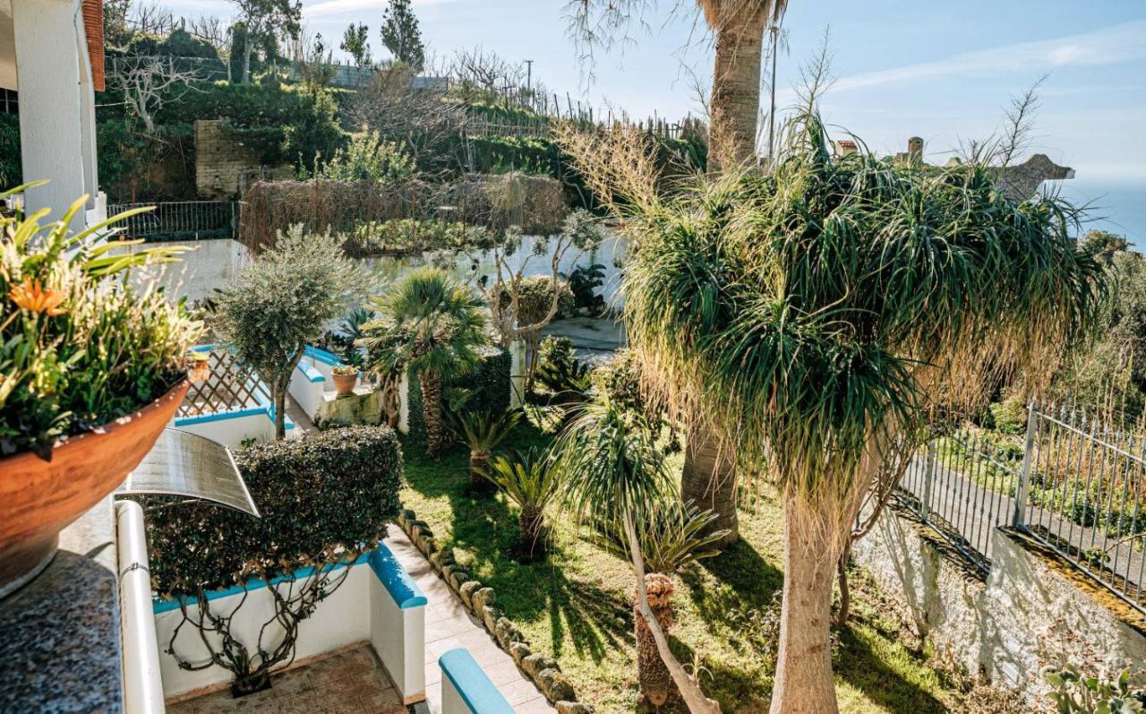 Appartamenti Ischia Casa Don Peppe Forio  ภายนอก รูปภาพ