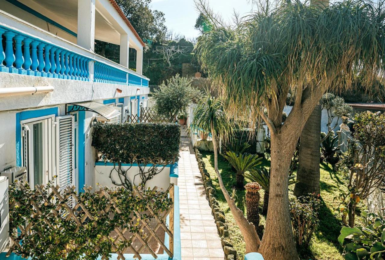 Appartamenti Ischia Casa Don Peppe Forio  ภายนอก รูปภาพ